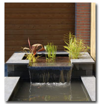 http://www.legardenier.nl/images/vijver_over.jpg